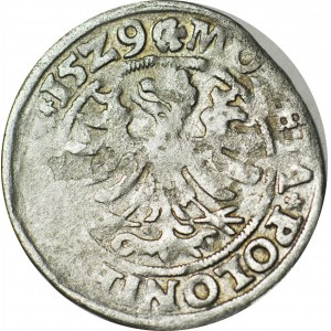 RRR-, Zygmunt I Stary, Grosz 1529, Kraków, SPEKTAKULARNY BŁĄD, Romańczyk R*