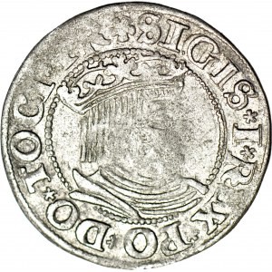 RRR-, Zygmunt I Stary, Grosz 1534, Gdańsk, Romańczyk nie notuje
