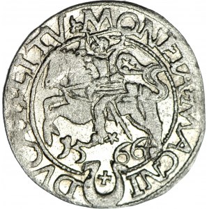 RR-, Zygmunt II August, Półgrosz 1566, Tykocin, herb Jastrzębiec, R5