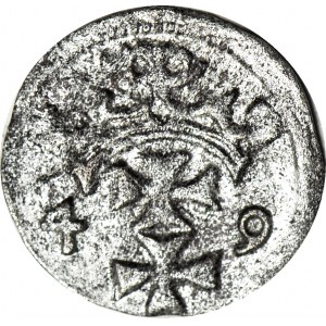 R-, Zygmunt II August, Denar 1549 Gdańsk, pierwszy rocznik