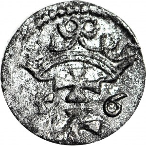 R-, Zygmunt II August, Denar 1556, Gdańsk