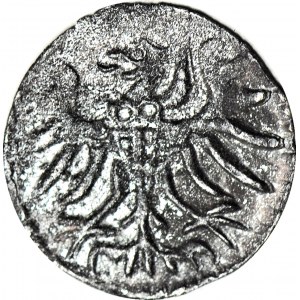 R-, Zygmunt II August, Denar 1556, Gdańsk