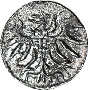 R-, Sigismund II Augustus, Denarius 1556, Gdańsk