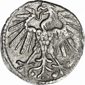 RRR-, Zygmunt II August, denar 1548 Wilno, R7