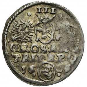 R-, Sigismund III Vasa, Trojak 1606 Krakow, rare