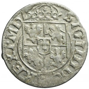 Sigismund III Vasa, Half-track 1618, Bydgoszcz, decorative shield
