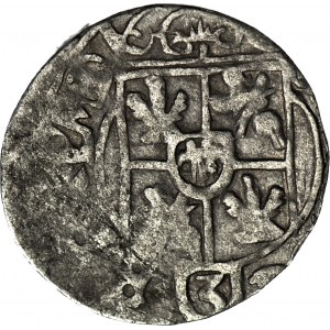 RRR, Ukraina, hetman Piotr Doroszenko, Półtorak 1662, R6
