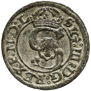 Sigismund III Vasa, Shelrogue 1623, Vilnius