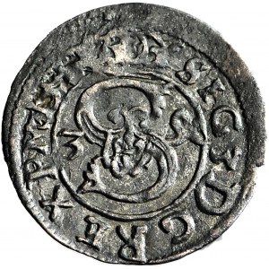 R-, Sigismund III Vasa, Ternar 1624, Lobezhenica, R3