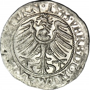 R-, Śląsk, Fryderyk II, Grosz 1543, BRZEG, data po prawej, szeroka broda, piękny