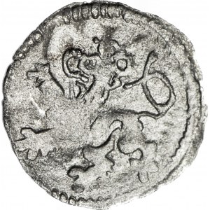 R-, Śląsk, Ludwik Jagiellończyk 1516 - 1526, Halerz, Wrocław