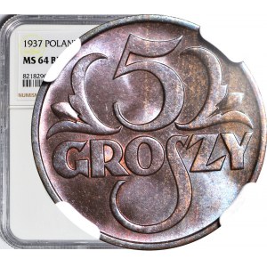 5 pennies 1937, mint, BN color