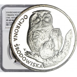 500 Oro 1986, Gufo con piccolo