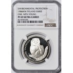 500 Oro 1986, Gufo con piccolo