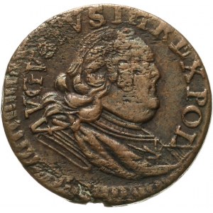 August III 1733-1763 szeląg 1753, Gubin (S)