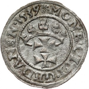 Zygmunt I Stary 1506-1548, szeląg 1539, Gdańsk