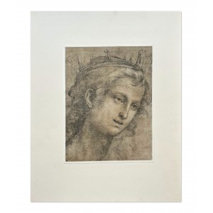 Fra BARTOLOMMEO, A Saint's head
