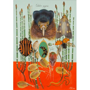 Adelajda Kot (ur. 1984, Warszawa), Bojownik i Salamandra, 2024