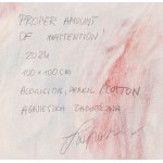 Agnieszka Zapotoczna (ur. 1994, Wrocław), Proper amount of inattention, 2024