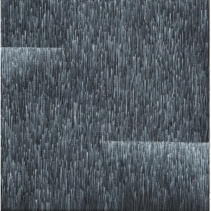 Anna Szprynger (b. 1982), Black (31), 2013
