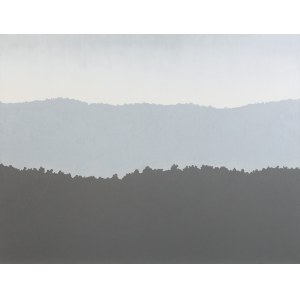 Ryszard Wozniak, Screen Landscape 3, 2010
