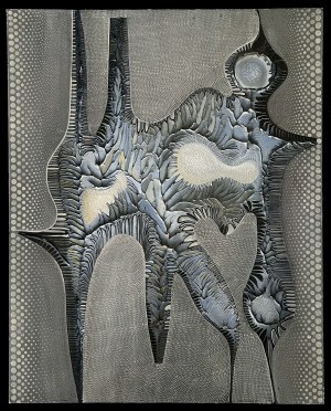 Leszek Nowosielski, Ptaki
