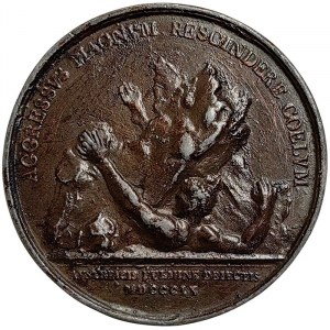 Napoleonic Medals and Coins, Medal 1809