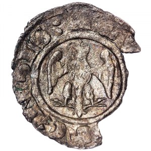 Aquileia, Raimondo, Piccolo n.d.