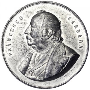 Francesco Carrara (1805-1888), Medal 1891