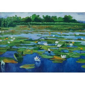 Mariusz Idkowiak, Wild Lake, 2008