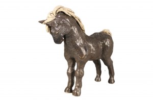 Aneta Śliwa, Koń brązowy