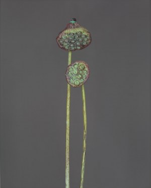 Bownik (ur. 1977, Janów Lubelski), 