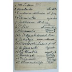 Fotografia pocztówkowa - Tablo posłów, starostów, adwokatów - Morszyn Zdrój [Leon Kozłowski, Kresy]