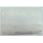 Fotografia - Gołębie - Ottomar Anschultz - Leszno, Poznań 1885 [ornitologia]