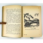 BIENIASZ Józef - Leśne wygi - Lwów 1939