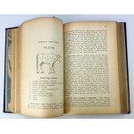 OCHOROVICZ MONATOVA Marja - Universal cookbook - Lviv - 1930s.