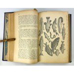 OCHOROVICZ MONATOVA Marja - Universal cookbook - Lviv - 1930s.