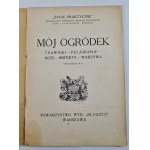 MÓJ OGRÓDEK: TRAWNIKI , PELARGONJE, RÓŻE, INSPEKTY, WARZYWA - opr. W. D.