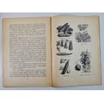 MÓJ OGRÓDEK: TRAWNIKI , PELARGONJE, RÓŻE, INSPEKTY, WARZYWA - opr. W. D.