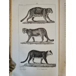BUFFON - COMPLETE WORKS (OEUVRES COMPLETES), Natural History, 1929 edition [ILLUSTRATIONS] 26 VOLUMES