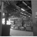 A. Wach Negatives on film. #PRL# Łódź Dom Handlowy CENTRAL