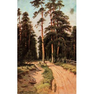 SHYSHKIN PICTURE - Borovicový les