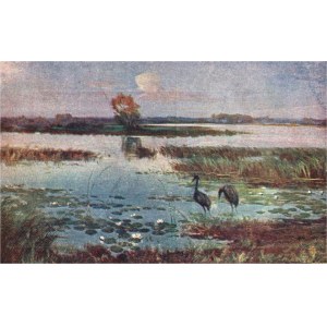 POLISH PAINTING POCKET Zygmuntowicz - Czaple
