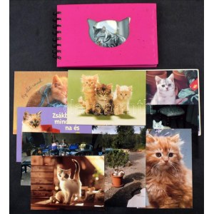 MACSKÁK - 9 db modern képeslap és fotó + 1 fotóalbum / CATS - 9 modern postcards and photos ...
