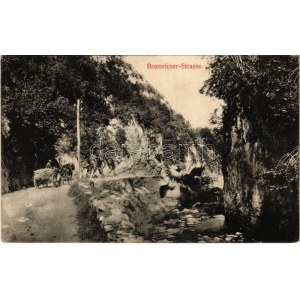 1911 Anina, Stájerlakanina, Stájerlak, Steierdorf; Bozovicsi út. Hollschütz kiadása / Bozovicser Strasse ...