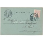 1899 (Vorläufer) Arad, Baross park, Vértanúk szobra, Római katolikus templom, Városháza. Révész Nándor kiadása / park...