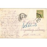 1905 Brassó, Kronstadt, Brasov; Tanácsház, városháza, piac, Kamner üzlete. M. T. és F. I. Koch Willy kiadása ...