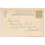 1903 Alsótátrafüred, Unter-Schmecks, Dolny Smokovec (Magas-Tátra, Vysoké Tatry); nyaralók magyar zászlókkal...