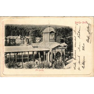 1902 Bártfa-fürdő, Bardejovské Kúpele, Bardiov, Bardejov; Fő forrás. Eschwig és Hajts kiadása. Hajts Kornél felvétele ...