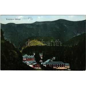 1915 Koritnyica, Korytnica; látkép. Komor Testvérek kiadása / general view (EK)